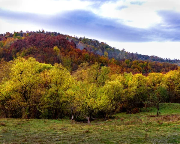 Autunno Montagna Natura Dipinto Colori Pastello Foglie Alberi Arbusti Erbe — Foto Stock