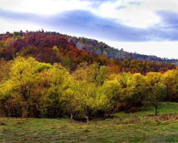 Automne Dans Les Montagnes Nature Peint Dans Des Couleurs Pastel — Photo