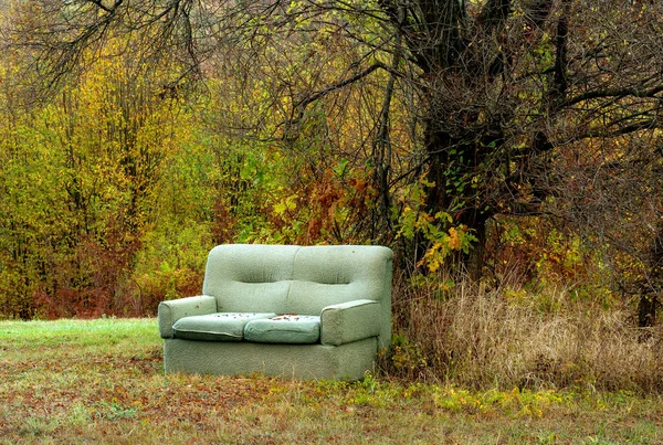 Sofa in the middle of nature. Upholstered furniture under a mountain  tree. It is autumn and the colored leaves of the tree fall.