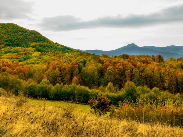 Otoño Las Montañas Naturaleza Pintado Colores Pastel Las Hojas Árboles —  Fotos de Stock