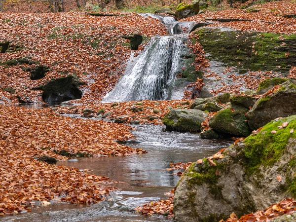 ブルガリアのバルカン山脈の秋の森 11月樹齢数百年の倒木が地面を覆っている — ストック写真