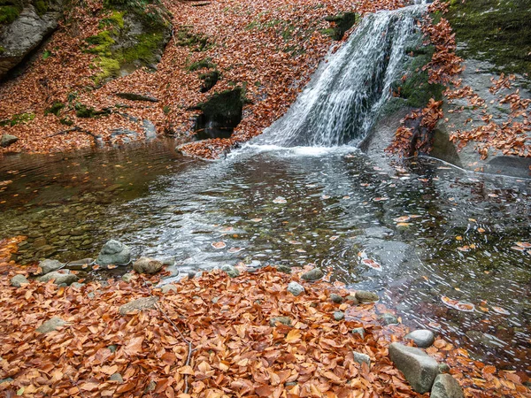ブルガリアのバルカン山脈の秋の森 11月樹齢数百年の倒木が地面を覆っている — ストック写真