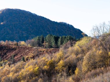 Dağlarda sonbahar. Doğa pastel renklerle boyamış ağaçların, çalıların ve otların yapraklarını..