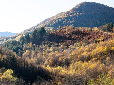 Dağlarda sonbahar. Doğa pastel renklerle boyamış ağaçların, çalıların ve otların yapraklarını..