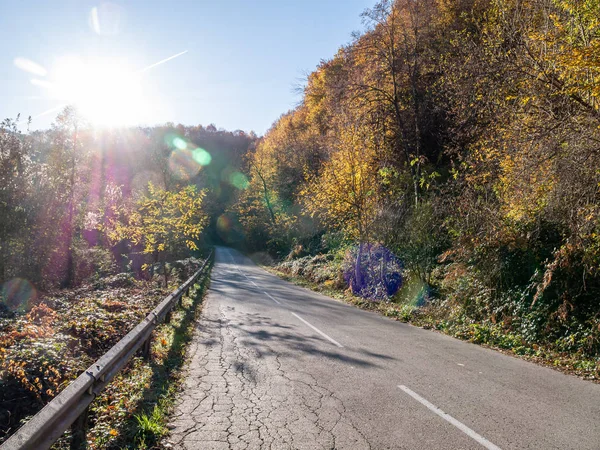 Drumul Prin Munții Toamnă Pierde Depărtare Peisajul Este Decorat Frunze — Fotografie, imagine de stoc