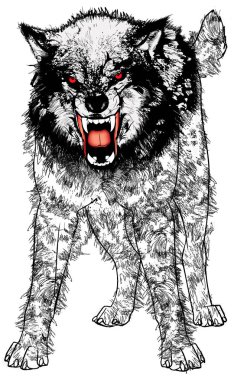 Öfkeli Wolf hırıltı