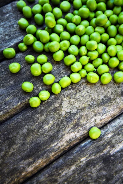 Pois Verts Fond Vue Près — Photo