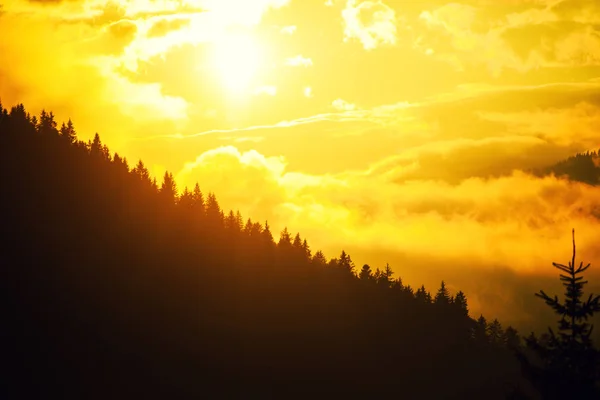 Sonnenuntergang Den Bergen — Stockfoto