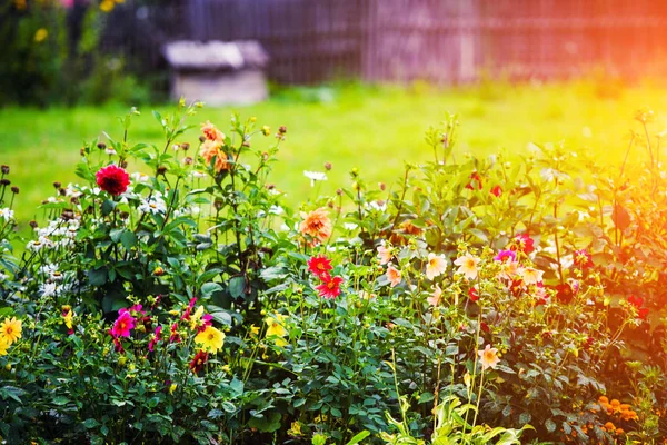 Schöne Frühlingsblumen Hintergrund lizenzfreie Stockfotos