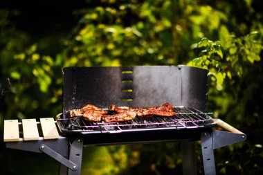 Izgara et, Barbekü. Bahar zamanı.