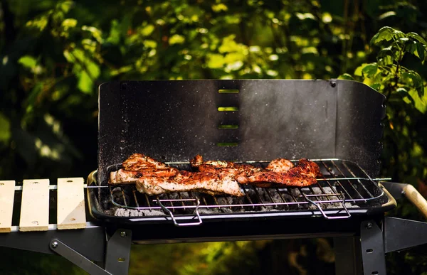 Grilled Meat Barbecue Close View — Stock Photo, Image