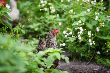 Açık havada çekilmiş bir portre.