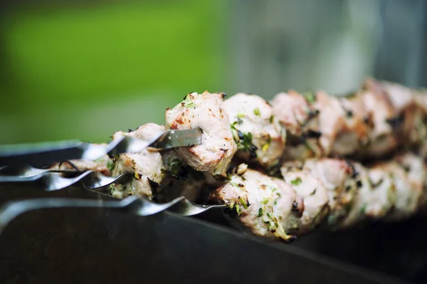 Sappige segmenten van vlees voor te bereiden op brand — Stockfoto