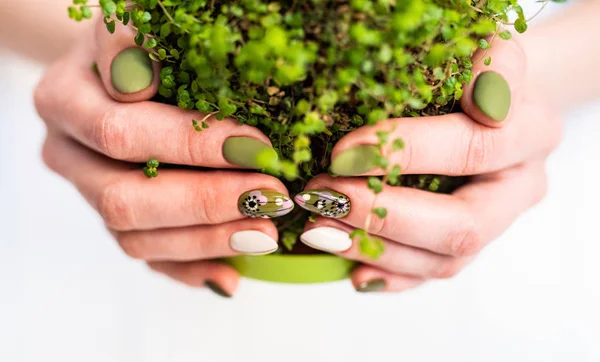 Concept of peace, eco planet, global warming.Nails Design. Hands