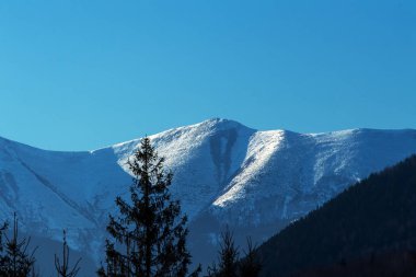 Kış dağı ormanı. Muhteşem Kış Manzarası. Karlı dağ