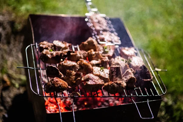 As partes suculentas de carne preparam-se no fogo. churrasco — Fotografia de Stock