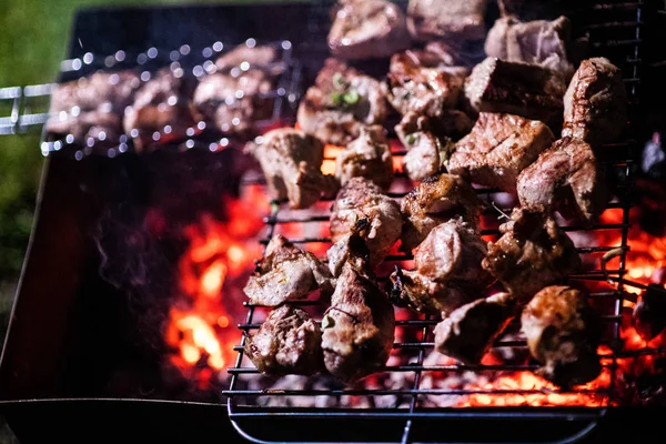 As partes suculentas de carne preparam-se no fogo. churrasco — Fotografia de Stock