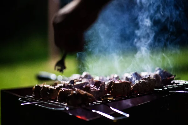 Los trozos jugosos de la carne se preparan a fuego. barbacoa —  Fotos de Stock