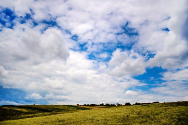 Yaz tarlası ve parlak mavi gökyüzü. Yeryüzünün güzelliği, Ukrayna.