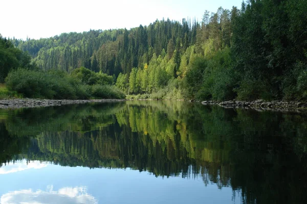 El reflejo del bosque en el río tranquilo — Foto de Stock