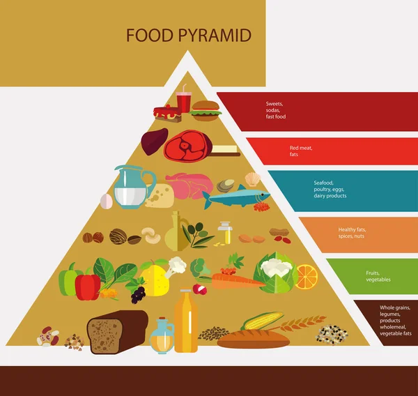 ᐈ Paleo pyramid chart stock vectors, Royalty Free healthy food pyramid ...