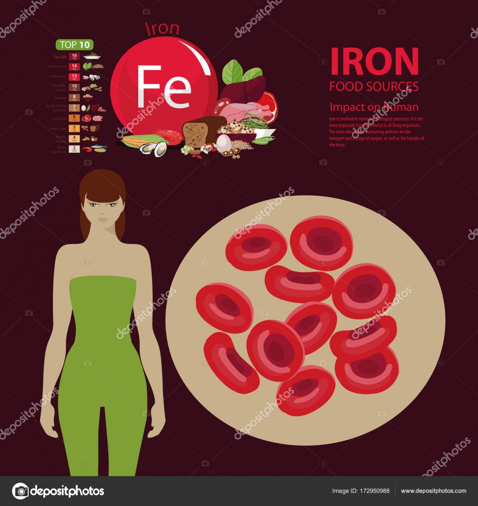 Iron. Food sources. — Stock Vector © AlfaOlga 172950988