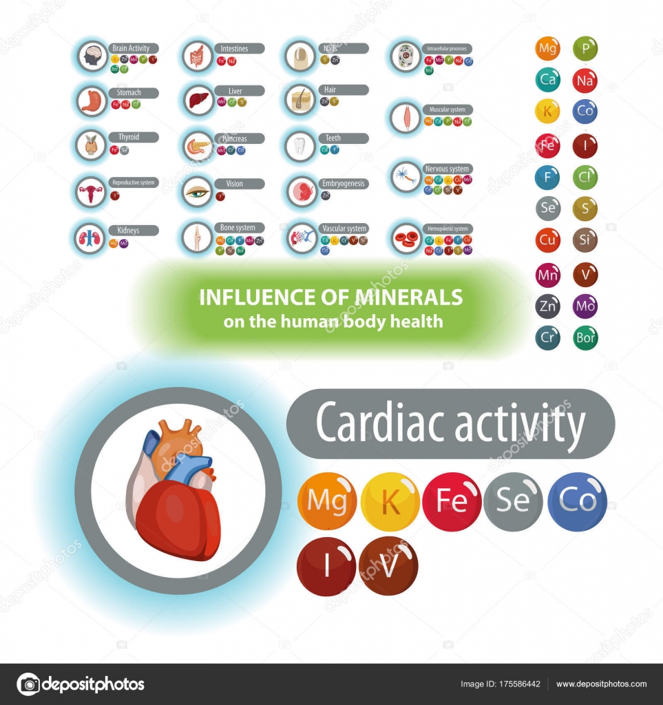Microelements in the human body: their role and importance. Table Microelements in the human body: their role and importance. Table