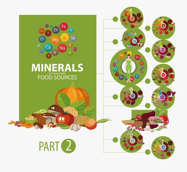 Minerals Food Sources Stock Vector AlfaOlga 176572576 Minerals Food Sources Stock Vector AlfaOlga 176572576