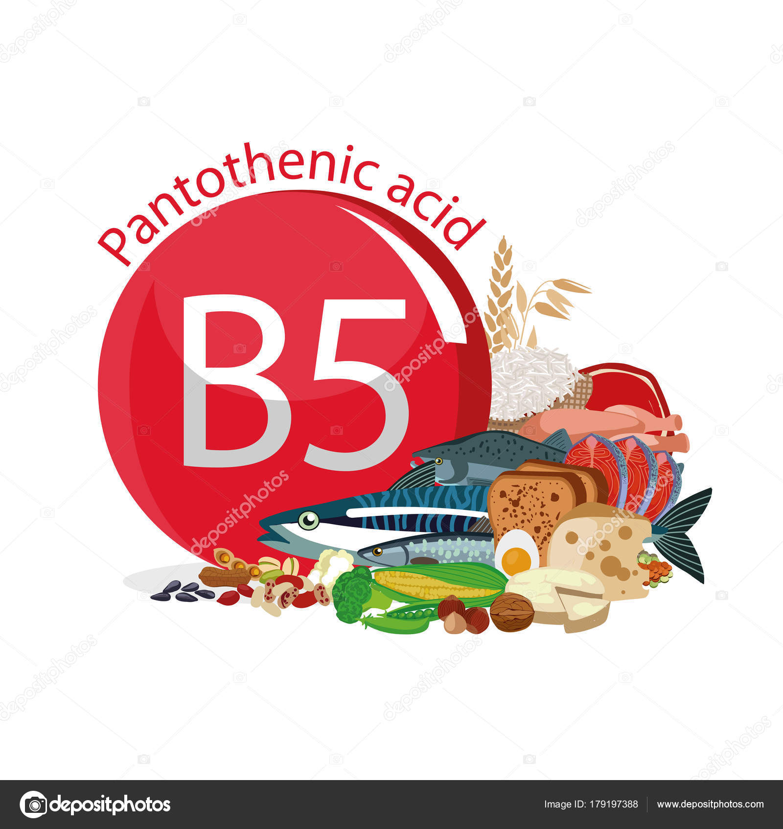 Vitamin B5 Pantothenic Acid Stock Vector Alfaolga