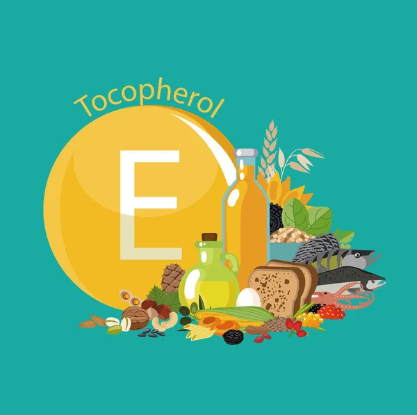 Vitamin E or Tocopherol. Food sources. — Stock Illustration Vitamin E or Tocopherol. Food sources. Royalty Free Stock Vectors