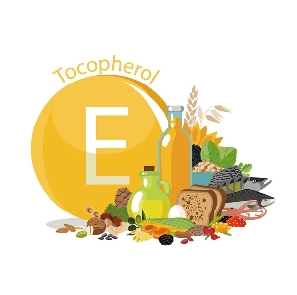 Vitamin E or Tocopherol. Food sources. — Stock Illustration Vitamin E or Tocopherol. Food sources. Royalty Free Stock Illustrations