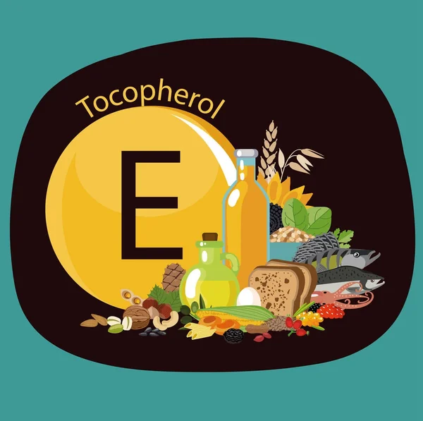 Vitamin E or Tocopherol. Food sources. — Stock Illustration Vitamin E or Tocopherol. Food sources. Stock Vector