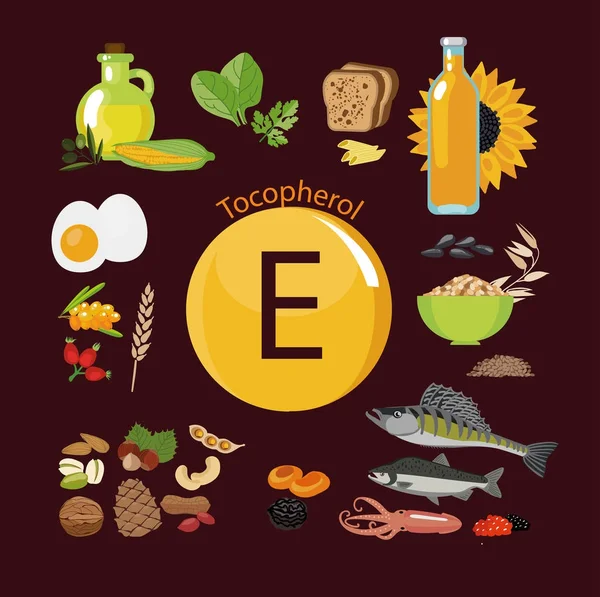Vitamin E or Tocopherol. Food sources. — Stock Illustration Vitamin E or Tocopherol. Food sources. Vector Graphics