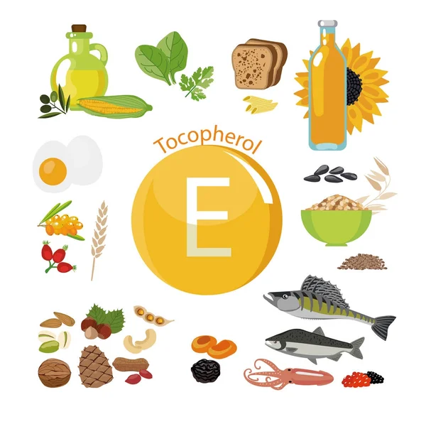 Vitamin E or Tocopherol. Food sources. — Stock Illustration Vitamin E or Tocopherol. Food sources. Stock Illustration