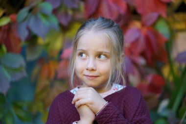  güzel bir kız 6 yaşında bir sonbahar Park portresi