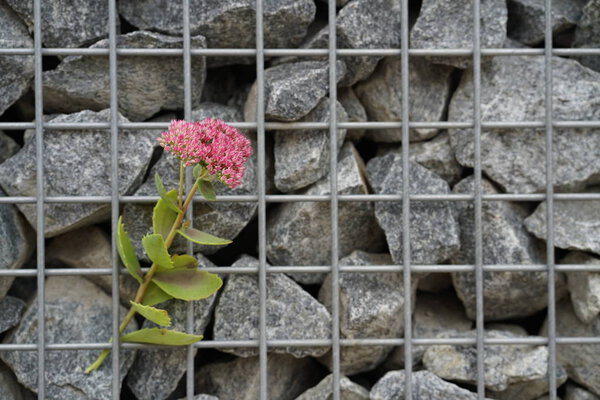 welded gabions filled with stone on the street