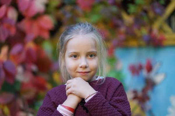 Retrato de uma menina bonita 6 anos em um parque de outono — Fotografia de Stock