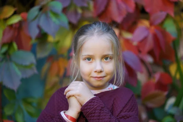 Portrait of a beautiful girl 6 years old in an autumn park — Stock Photo, Image