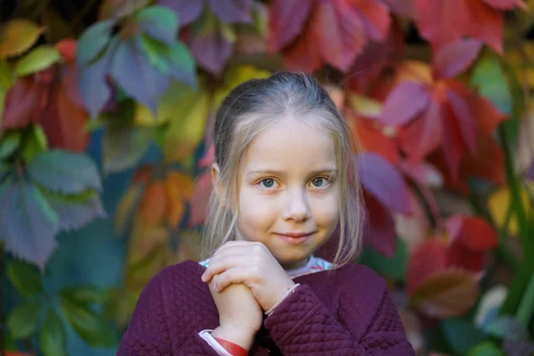 Portrait of a beautiful girl 6 years old in an autumn park — Stock Photo, Image