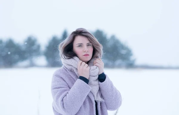 Portrét Mladé Krásné Zimní Dívka Venku Kabátě — Stock fotografie