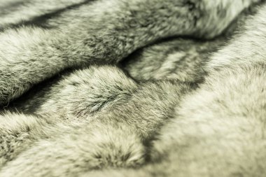 kürk Simli siyah tilki