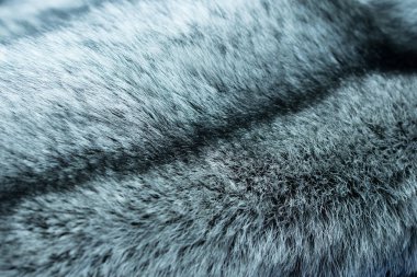 kürk Simli siyah tilki