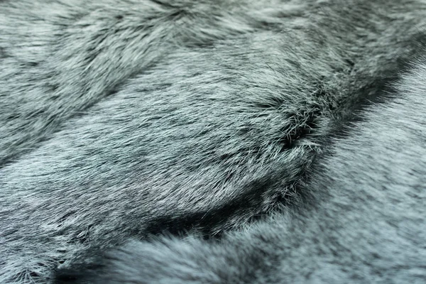 fur silvery black fox