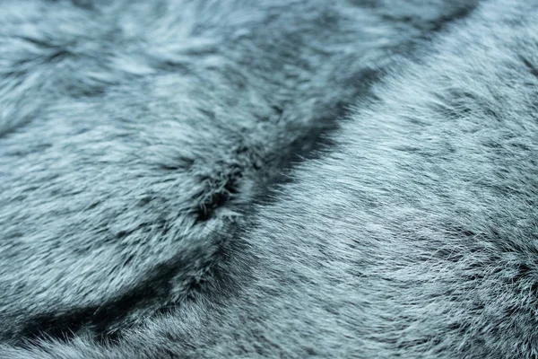 fur silvery black fox