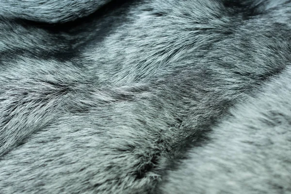 Closeup Silver Fox Fur — Stock Photo, Image