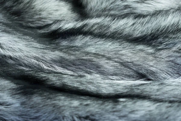 Fox Huid Zilverachtig Zwart — Stockfoto