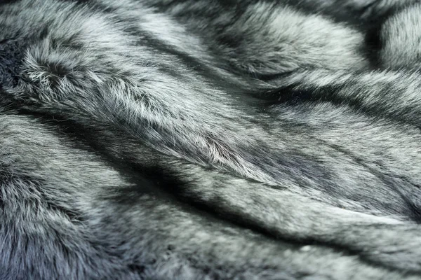Fox Huid Zilverachtig Zwart — Stockfoto