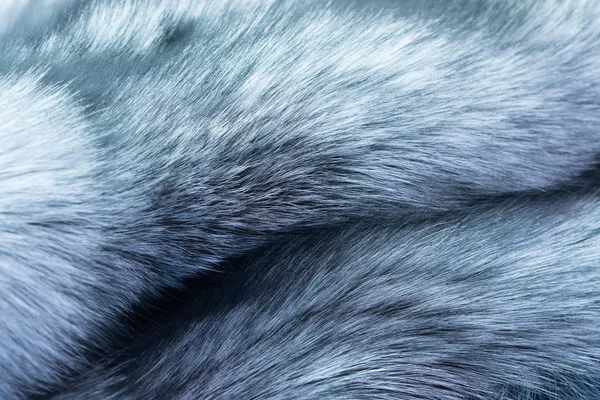Μαύρο Ασημί Γούνα Αλεπού — Φωτογραφία Αρχείου