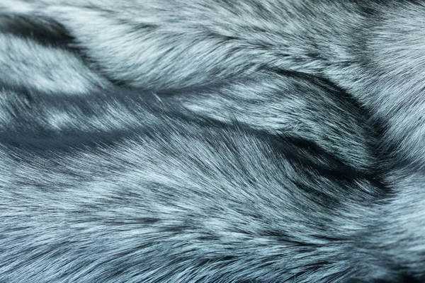 狐狸毛皮银色黑色 — 图库照片