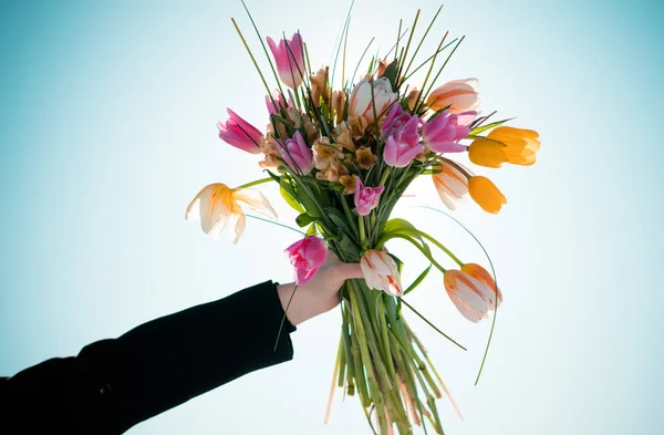 Girl Hand Holds Bouquet Tulips — стоковое фото